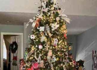 Benefits of Treecycling Your Christmas Tree – Radio Iowa benefits-of-treecycling-your-christmas-tree-radio-owa