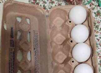 Factors Driving Increase in Egg Prices: Bird Flu Impact and More – Radio Iowa factors-driving-ncrease-in-egg-prices-bird-flu-mpact-and-more-radio-owa