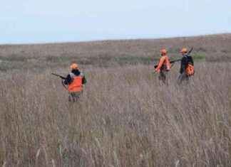 Iowa Hunting and Fishing Licenses Expiring on January 10, 2025 – NorthIowaToday owa-hunting-and-fishing-licenses-expiring-on-january-10-2025-northowatoday