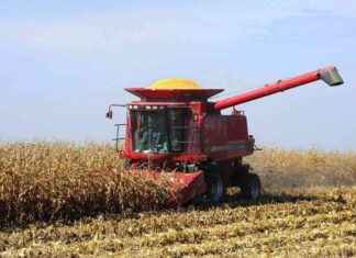 Iowa Farmers Overcome Weather Challenges to Produce Large Corn and Soybean Crops in 2024 owa-farmers-overcome-weather-challenges-to-produce-large-corn-and-soybean-crops-in-2024