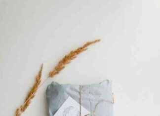 Quality Packaging Supplies: Essential for Your Business Success quality-packaging-supplies-essential-for-your-business-success