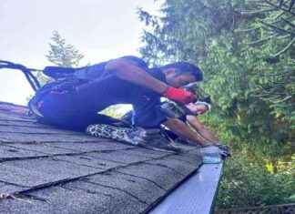 Roofing Renaissance in Burnaby: The Resilient Skyline – NorthIowaToday roofing-renaissance-in-burnaby-the-resilient-skyline-northowatoday