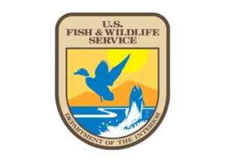 Saving Endangered River Mussel in the Mississippi: Federal Efforts saving-endangered-river-mussel-in-the-mississippi-federal-efforts