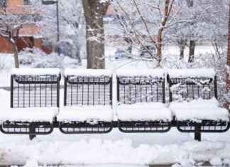 Top 6 Winter Semester Survival Songs: Beat the Cold & Stay Motivated top-6-winter-semester-survival-songs-beat-the-cold-stay-motivated