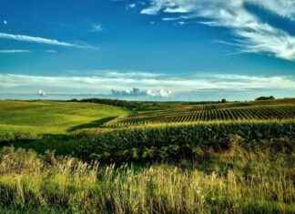 Top 7 Benefits of Investing in Iowa Real Estate for Sale top-7-benefits-of-nvesting-in-owa-real-estate-for-sale