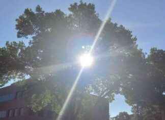 Understanding the Difference Between Holiday Blues and Seasonal Affective Disorder understanding-the-difference-between-holiday-blues-and-seasonal-affective-disorder