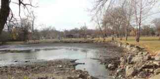 Planning to Control Plants in Iowa Ponds: Iowa DNR Recommendations planning-to-control-plants-in-owa-ponds-owa-dnr-recommendations