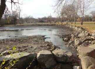 Planning to Control Plants in Iowa Ponds: Iowa DNR Recommendations planning-to-control-plants-in-owa-ponds-owa-dnr-recommendations