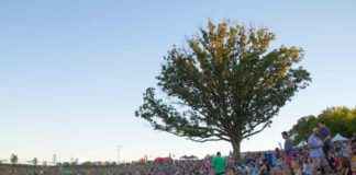 10th Anniversary Celebration of Hinterland Music Festival 10th-anniversary-celebration-of-hinterland-music-festival