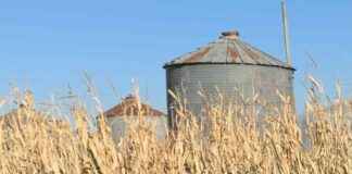 Ag Groups Express Concerns Over ‘Make America Healthy Again’ Report ag-groups-express-concerns-over-make-america-healthy-again-report