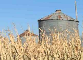 Ag Groups Express Concerns Over ‘Make America Healthy Again’ Report ag-groups-express-concerns-over-make-america-healthy-again-report