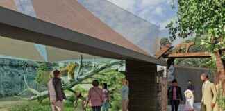 Central Iowa Zoo Announces Expansion of Lion, River Otter, and Bobcat Habitats central-owa-zoo-announces-expansion-of-lion-river-otter-and-bobcat-habitats