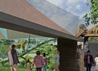 Central Iowa Zoo Announces Expansion of Lion, River Otter, and Bobcat Habitats central-owa-zoo-announces-expansion-of-lion-river-otter-and-bobcat-habitats