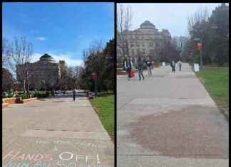 Debate over University Chalk Washing Policy: College Democrats vs. YAF debate-over-university-chalk-washing-policy-college-democrats-vs-yaf