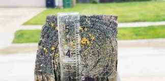 Improvement in Statewide Drought Conditions – Latest Update mprovement-in-statewide-drought-conditions-latest-update