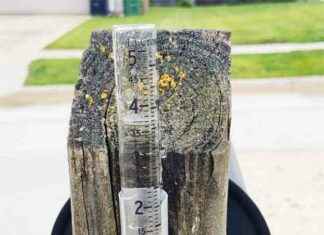 Improvement in Statewide Drought Conditions – Latest Update mprovement-in-statewide-drought-conditions-latest-update