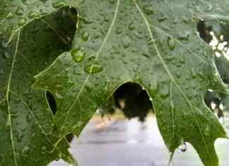 Severe Weather Alert: More Rain Expected in Iowa Today severe-weather-alert-more-rain-expected-in-owa-today