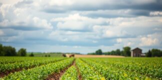 The Impact of Climate Change on Iowa’s Agricultural Sector The Impact of Climate Change on Iowa's Agricultural Industry